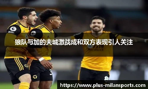 狼队与加的夫城激战成和双方表现引人关注