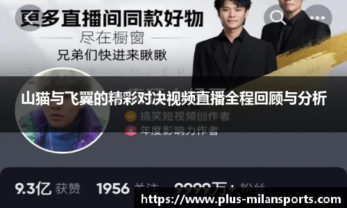 山猫与飞翼的精彩对决视频直播全程回顾与分析